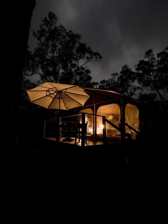 Wild Nature Lodge, Mareeba Wetlands Biboohra 외부 사진