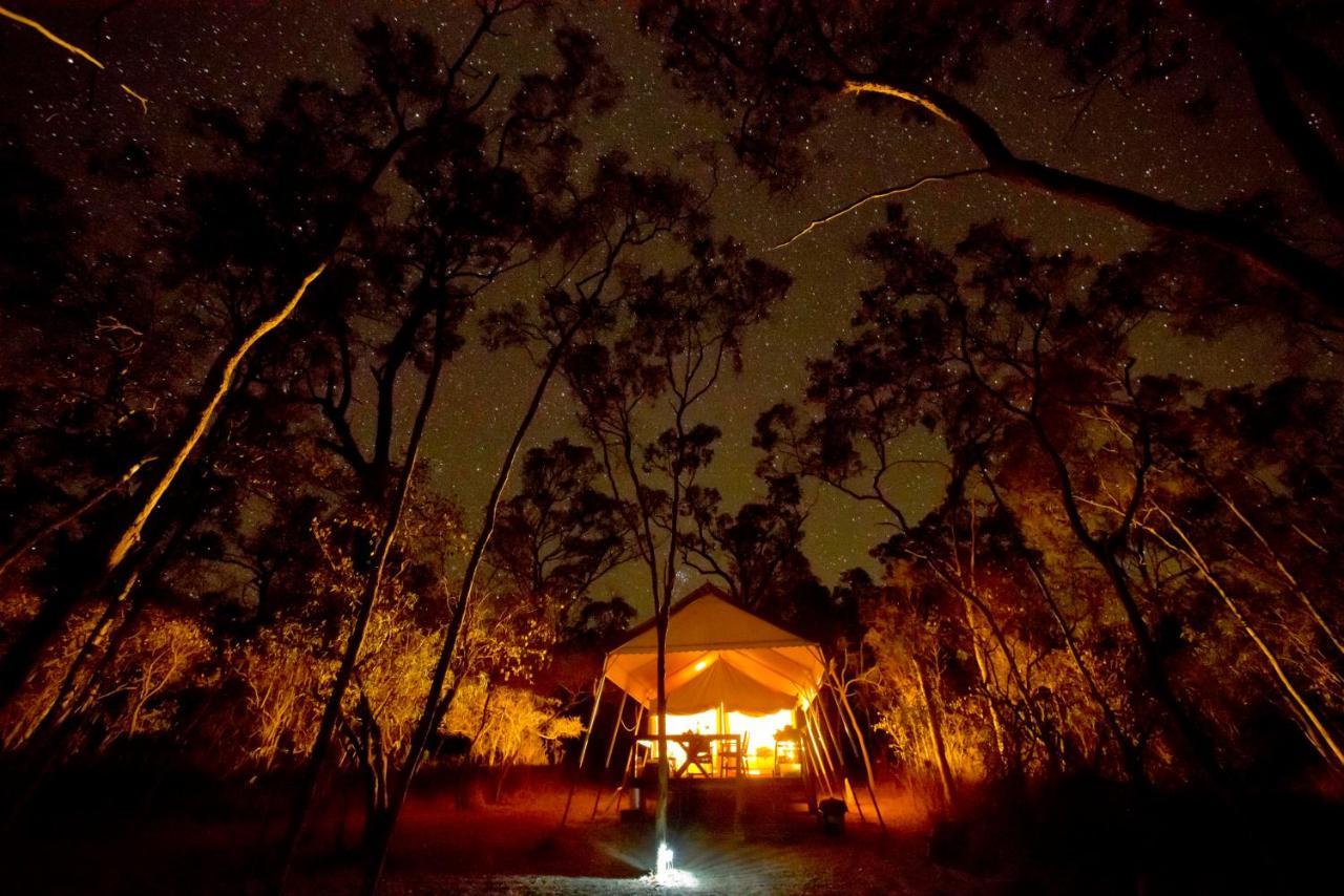 Wild Nature Lodge, Mareeba Wetlands Biboohra 외부 사진
