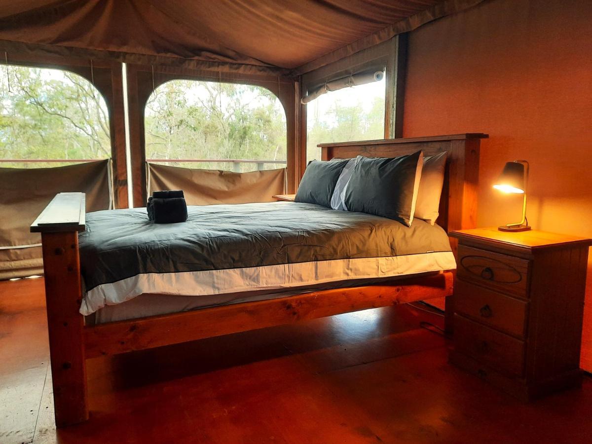 Wild Nature Lodge, Mareeba Wetlands Biboohra 외부 사진