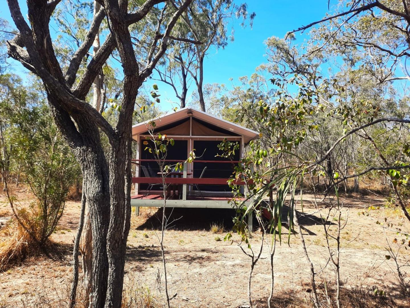 Wild Nature Lodge, Mareeba Wetlands Biboohra 외부 사진
