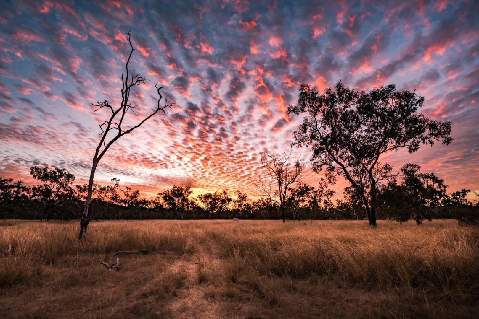 Wild Nature Lodge, Mareeba Wetlands Biboohra 외부 사진